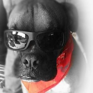 Meet your Posher, Christopher